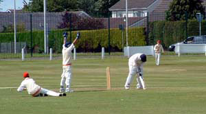 Chris Brockwell batting for Scotland