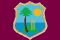 West Indies flag