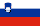 Slovenia flag