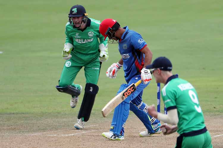 Ireland celebrate the fall of a wicket against Afghanistan (© ICC)